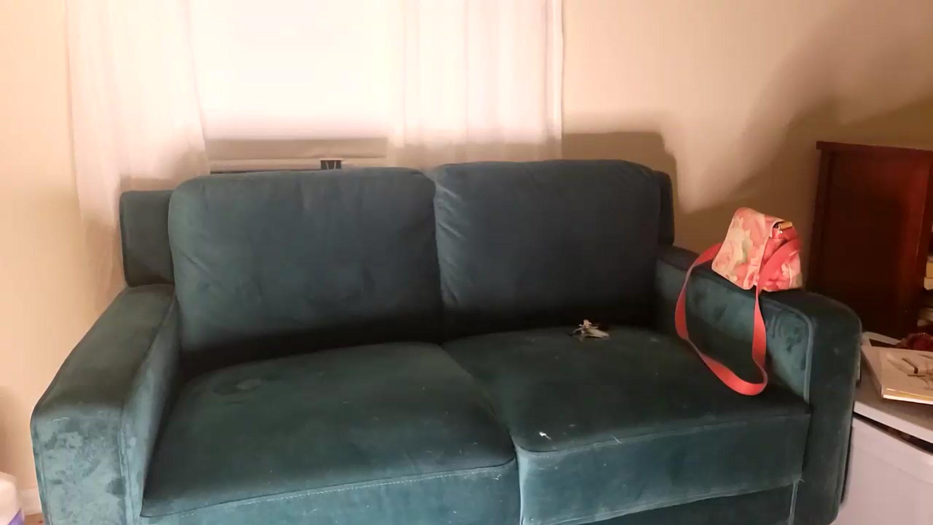 Gallery image thumbnail from TrollopTaylor's myfreecams stream on, 08/07/2026, 04:04 image 3 of 20