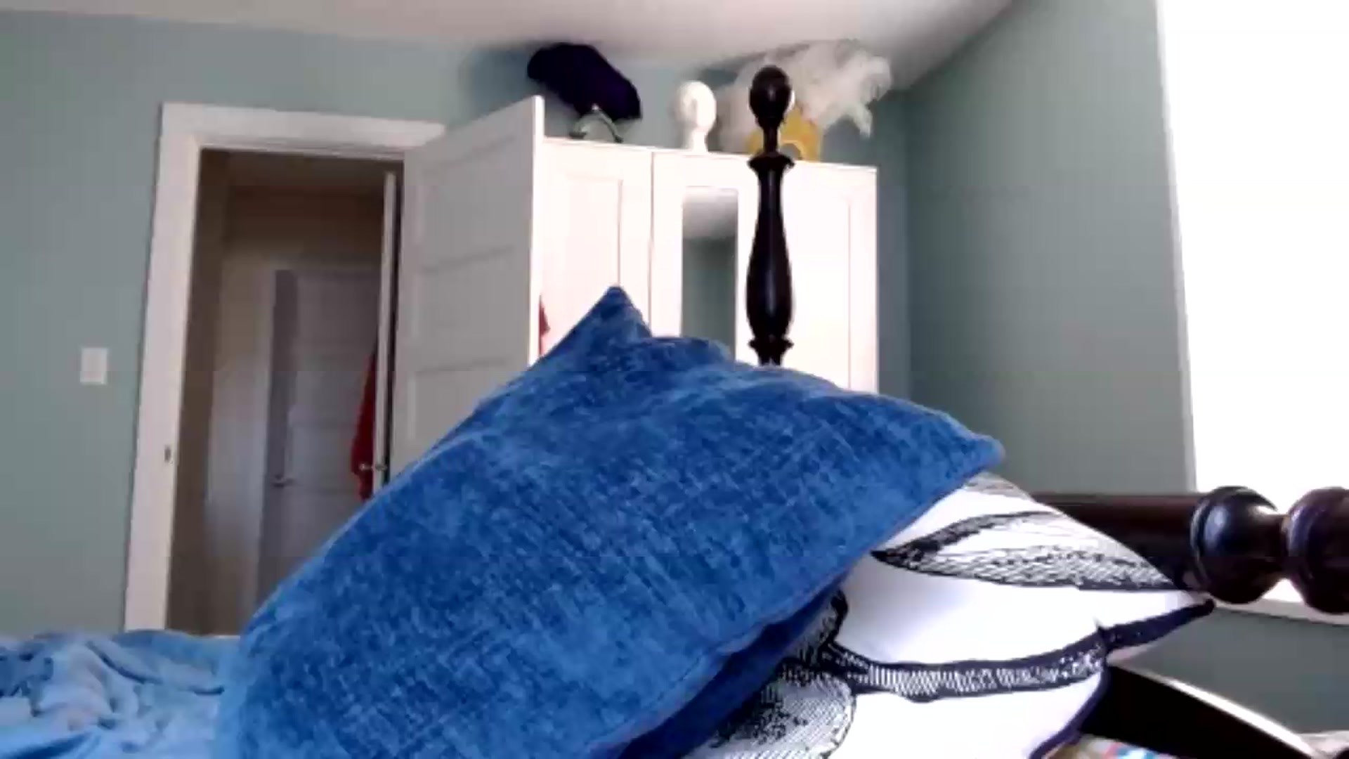 Gallery image thumbnail from TrollopTaylor's myfreecams stream on, 08/15/2026, 22:09 image 10 of 20