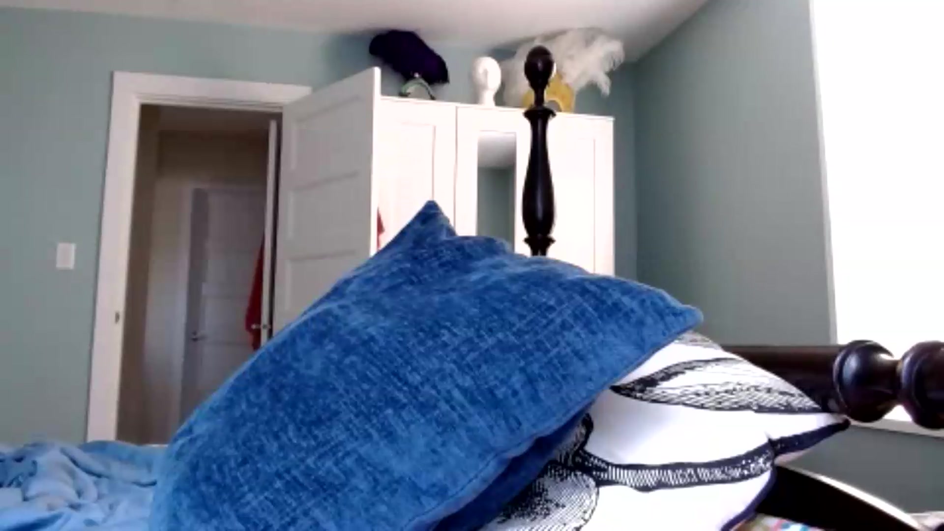 Gallery image thumbnail from TrollopTaylor's myfreecams stream on, 08/15/2026, 22:09 image 9 of 20