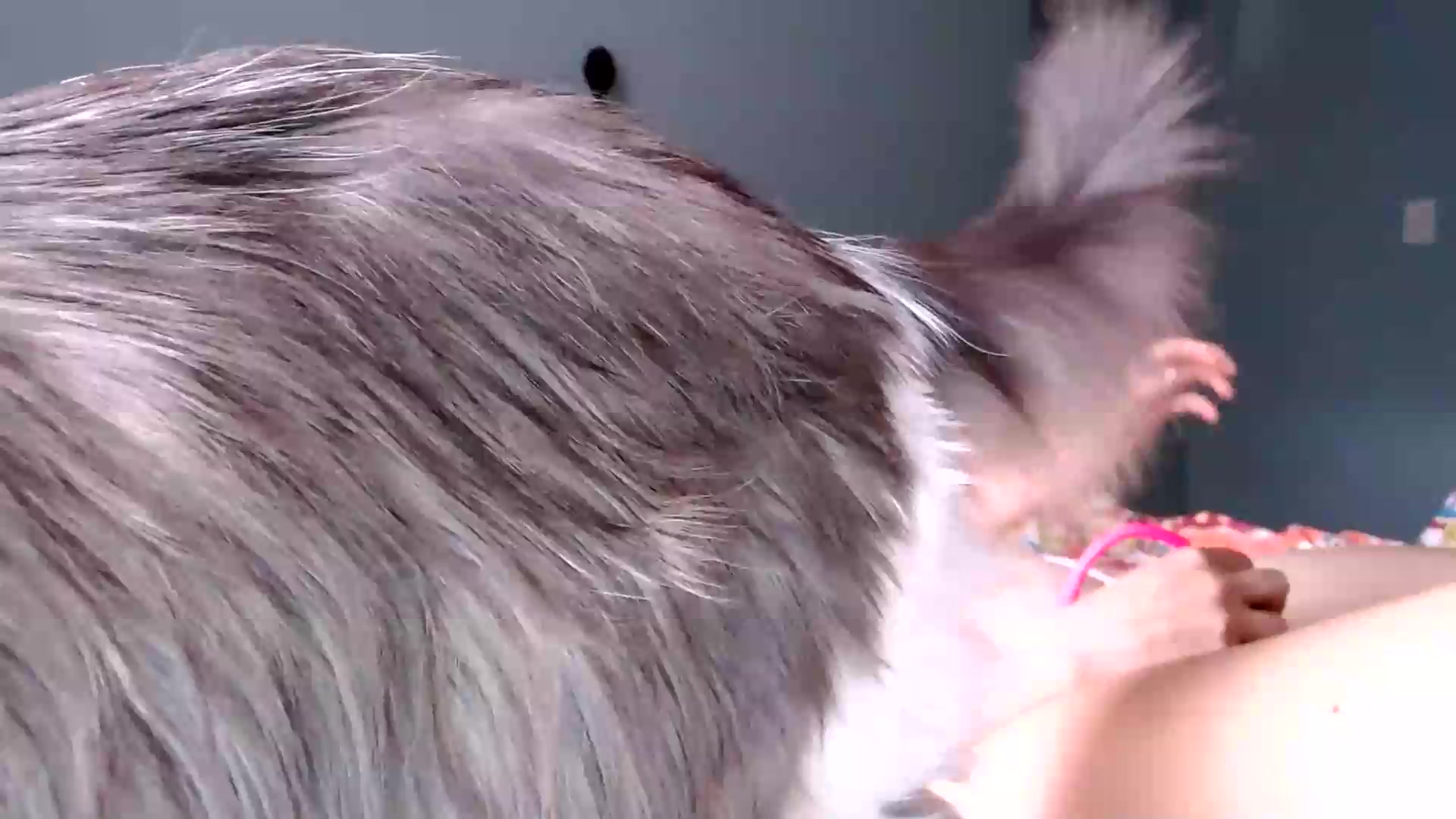 Gallery image thumbnail from TrollopTaylor's myfreecams stream on, 08/29/2026, 23:57 image 11 of 20