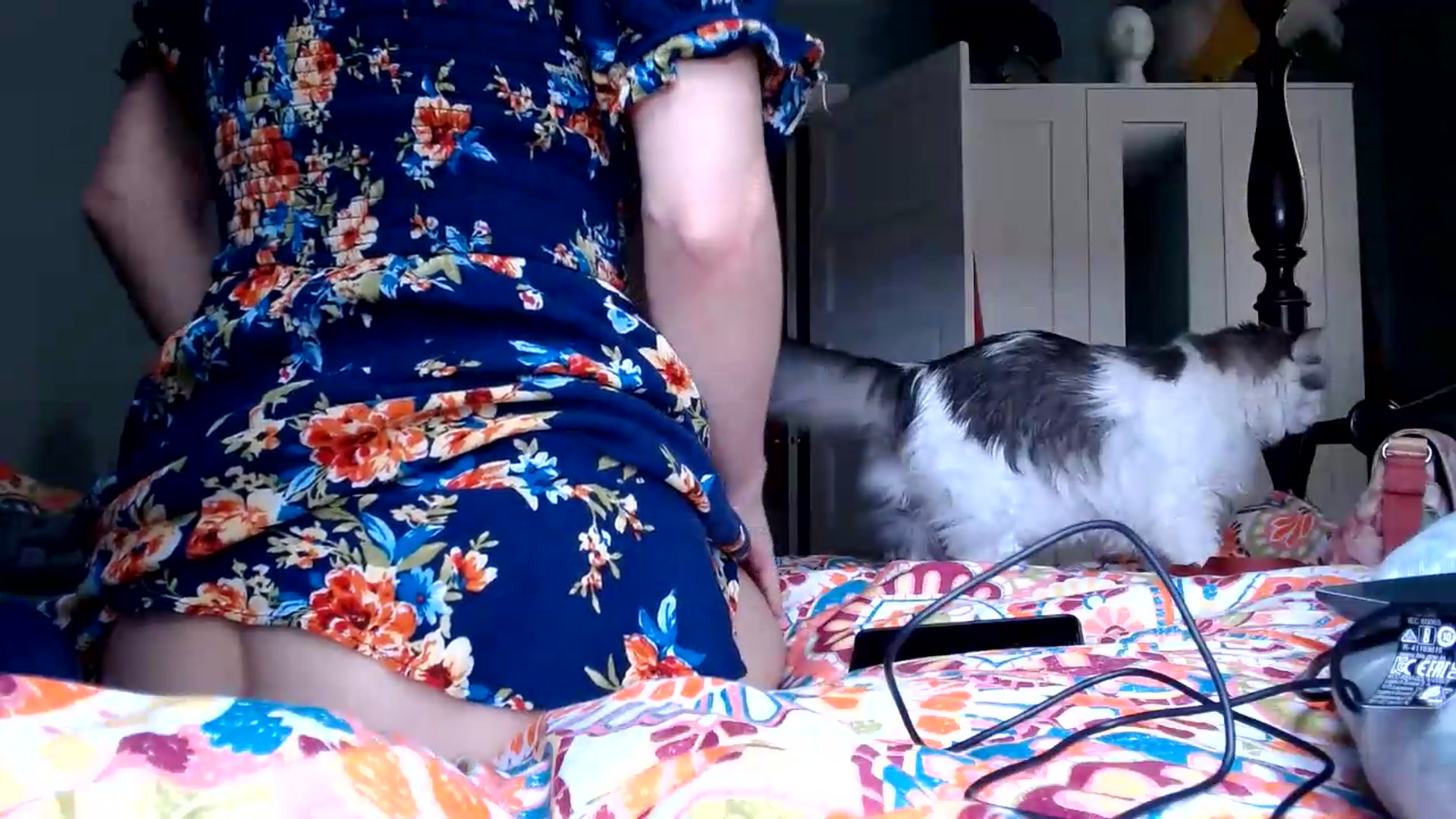 Gallery image thumbnail from TrollopTaylor's myfreecams stream on, 08/30/2026, 22:18 image 17 of 20