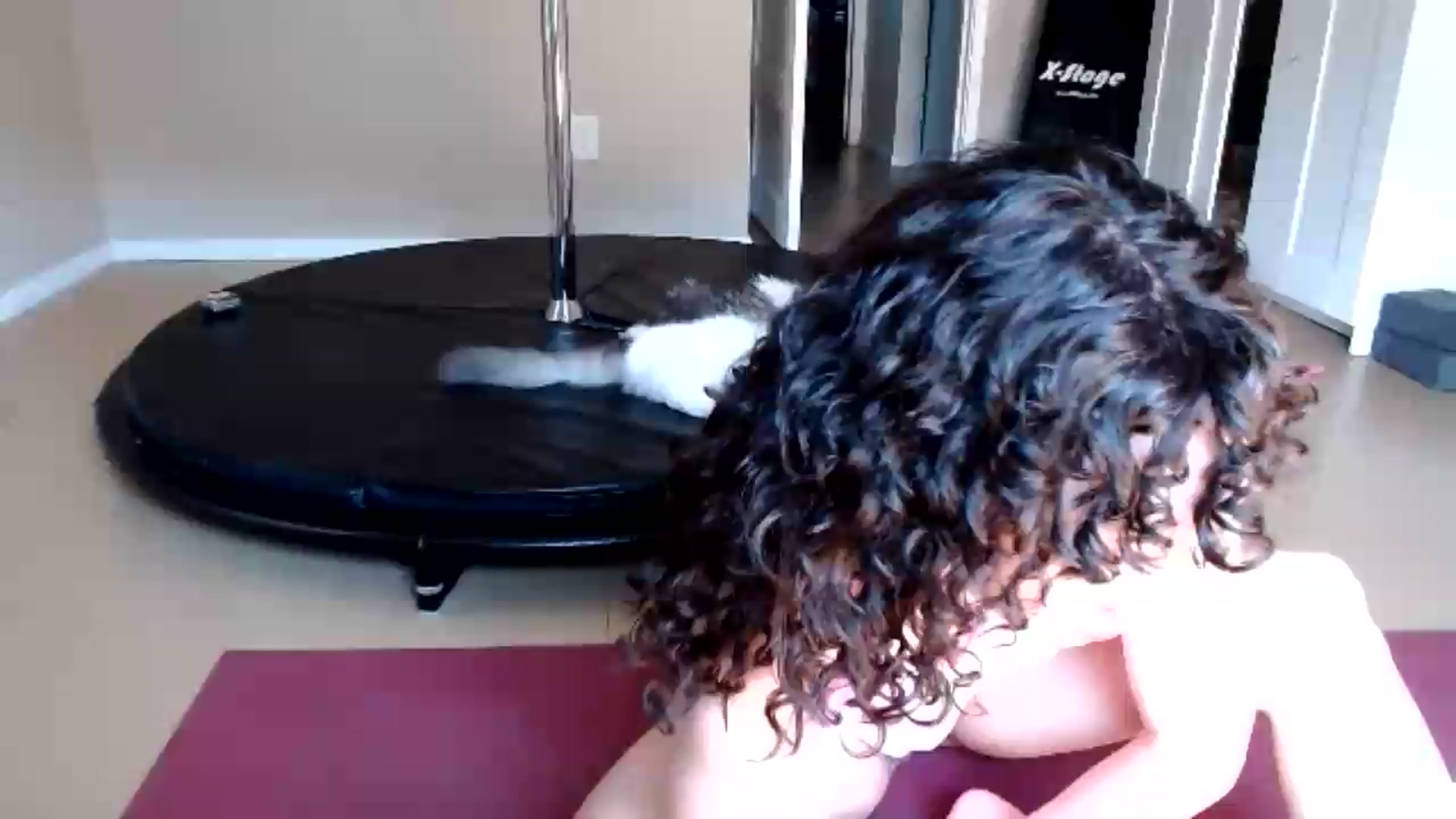 Gallery image thumbnail from TrollopTaylor's myfreecams stream on, 09/02/2026, 23:38 image 12 of 20