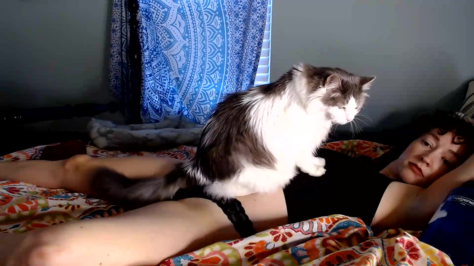 Gallery image thumbnail from TrollopTaylor's myfreecams stream on, 09/04/2026, 01:26 image 9 of 20