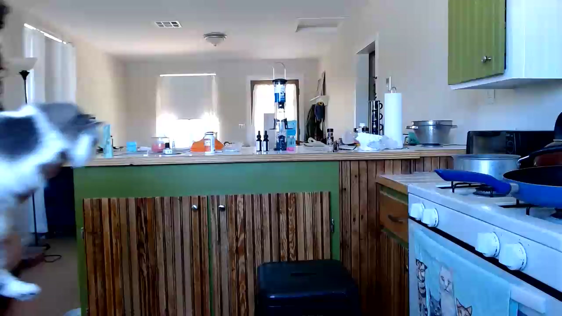 Gallery image thumbnail from TrollopTaylor's myfreecams stream on, 09/10/2026, 20:32 image 1 of 20
