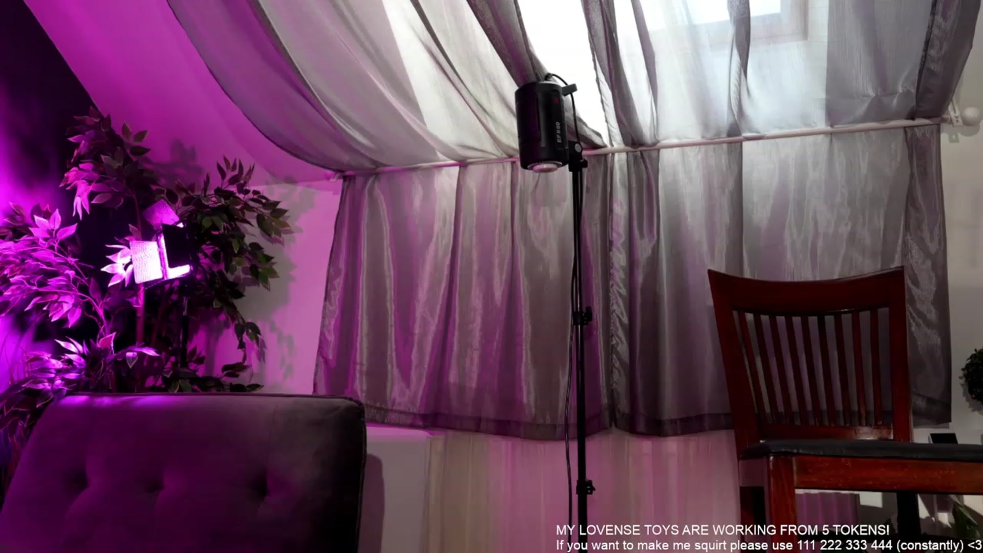Gallery image thumbnail from TrophyMilf's myfreecams stream on, 11/09/2023, 07:16 image 13 of 20