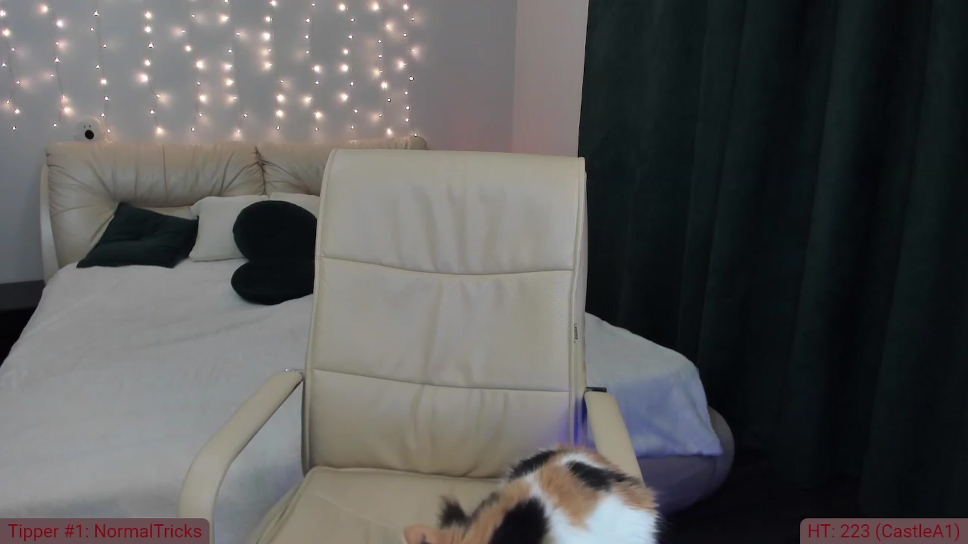 Gallery image thumbnail from TroubleVixen's myfreecams stream on, 11/25/2022, 19:21 image 2 of 20