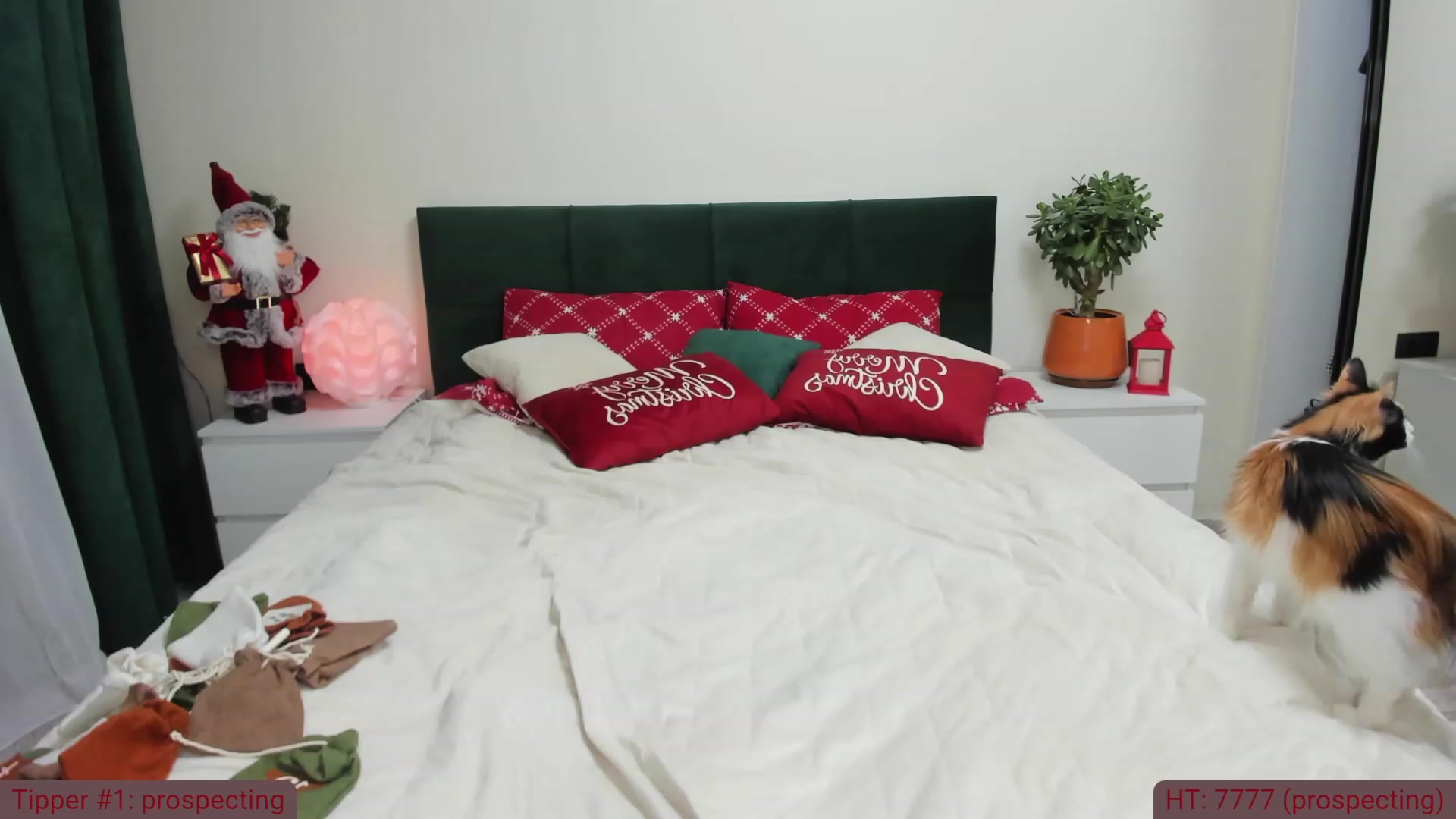 Gallery image thumbnail from TroubleVixen's myfreecams stream on, 12/25/2023, 04:11 image 17 of 20