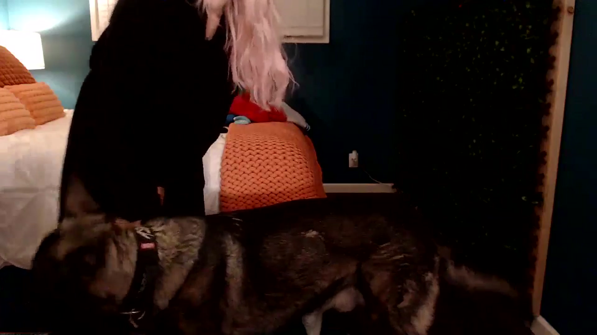 Gallery image thumbnail from Troublesome's myfreecams stream on, 11/10/2024, 08:02 image 11 of 20