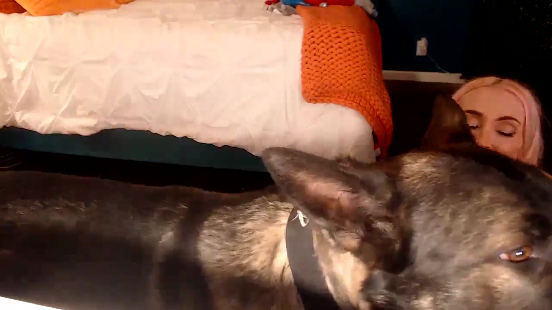 Gallery image thumbnail from Troublesome's myfreecams stream on, 11/10/2024, 09:02 image 11 of 20