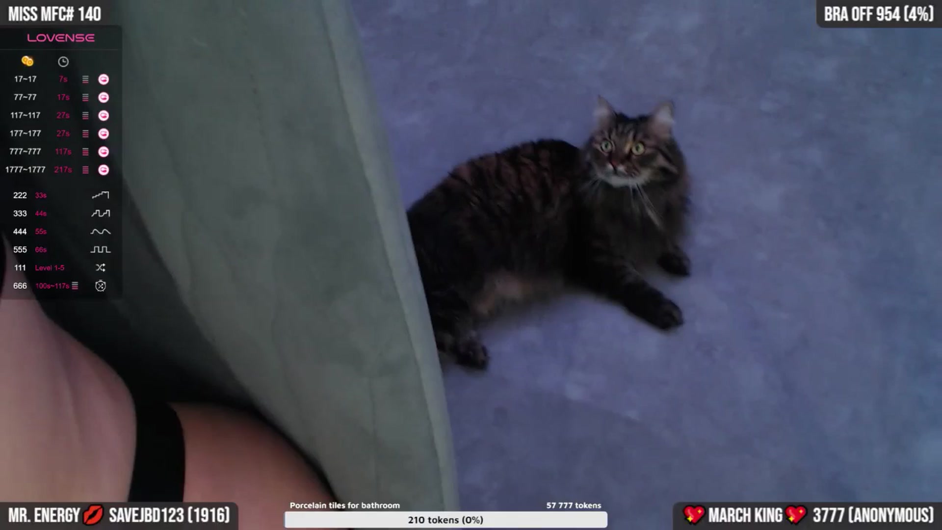 Gallery image thumbnail from TruEnergy's myfreecams stream on, 03/06/2024, 04:33 image 20 of 20