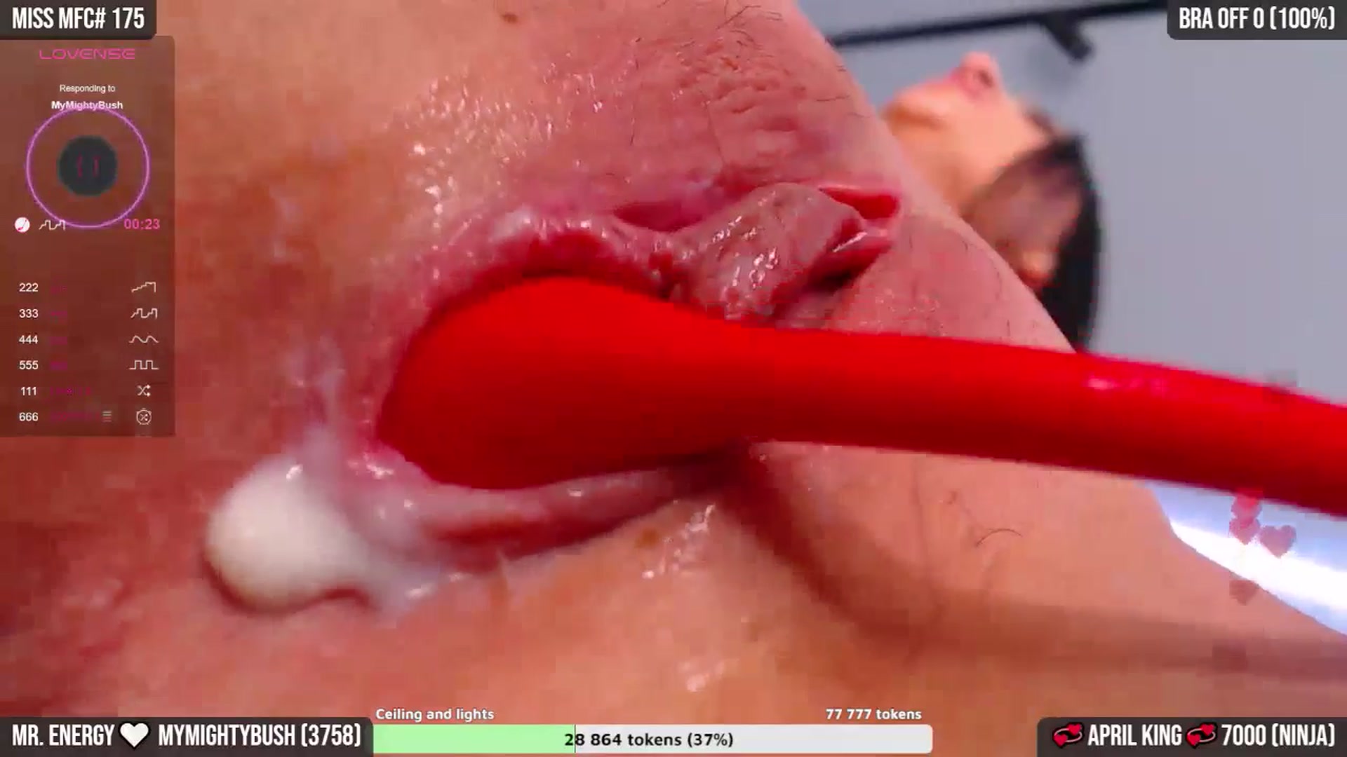 Gallery image thumbnail from TruEnergy's myfreecams stream on, 04/29/2024, 05:38 image 4 of 20