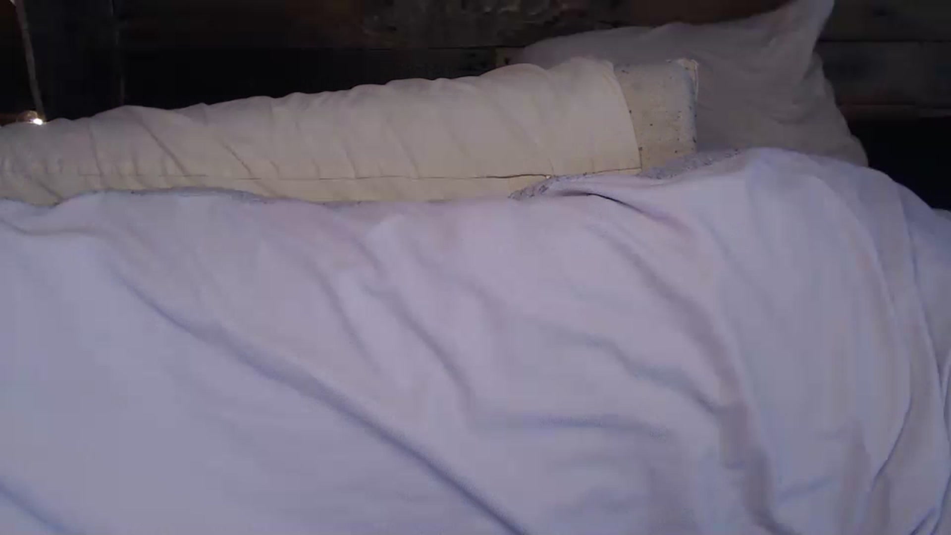 Gallery image thumbnail from TrueHalo's myfreecams stream on, 12/20/2022, 17:33 image 13 of 20