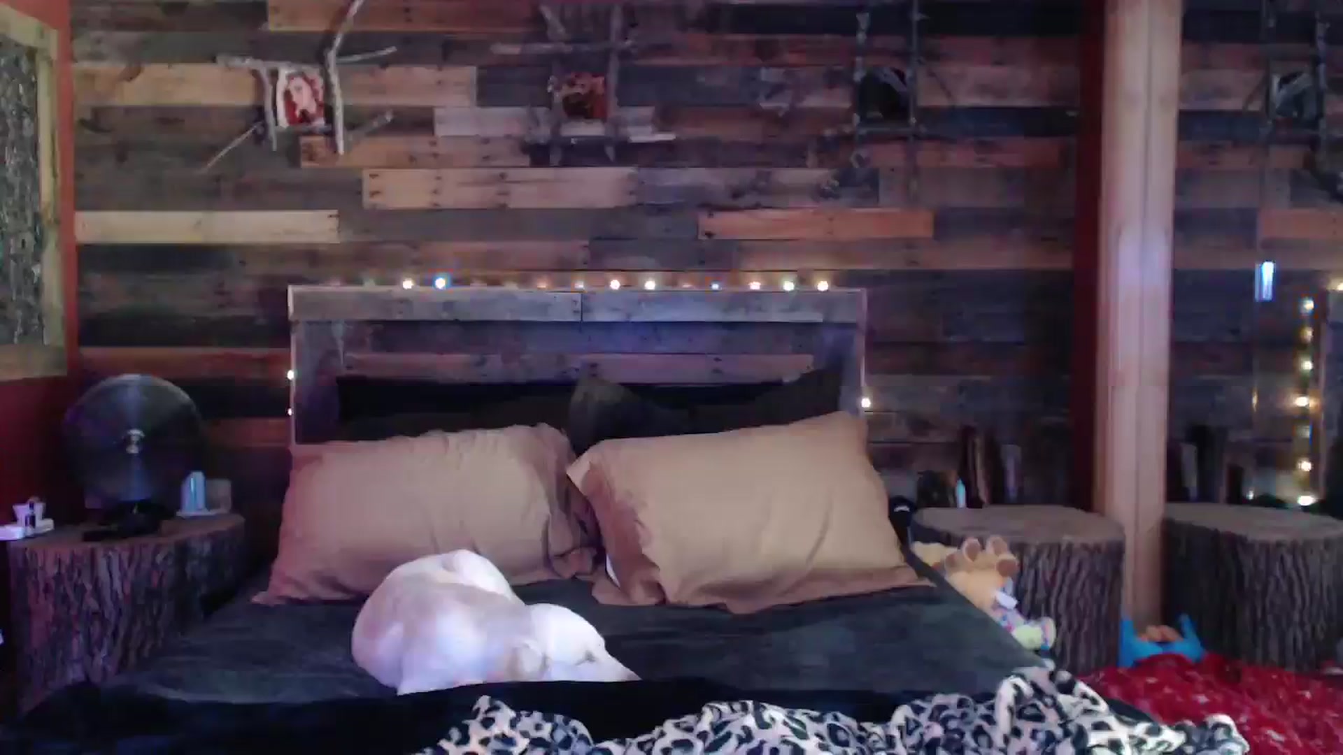 Gallery image thumbnail from TrueHalo's myfreecams stream on, 05/29/2025, 18:34 image 3 of 20