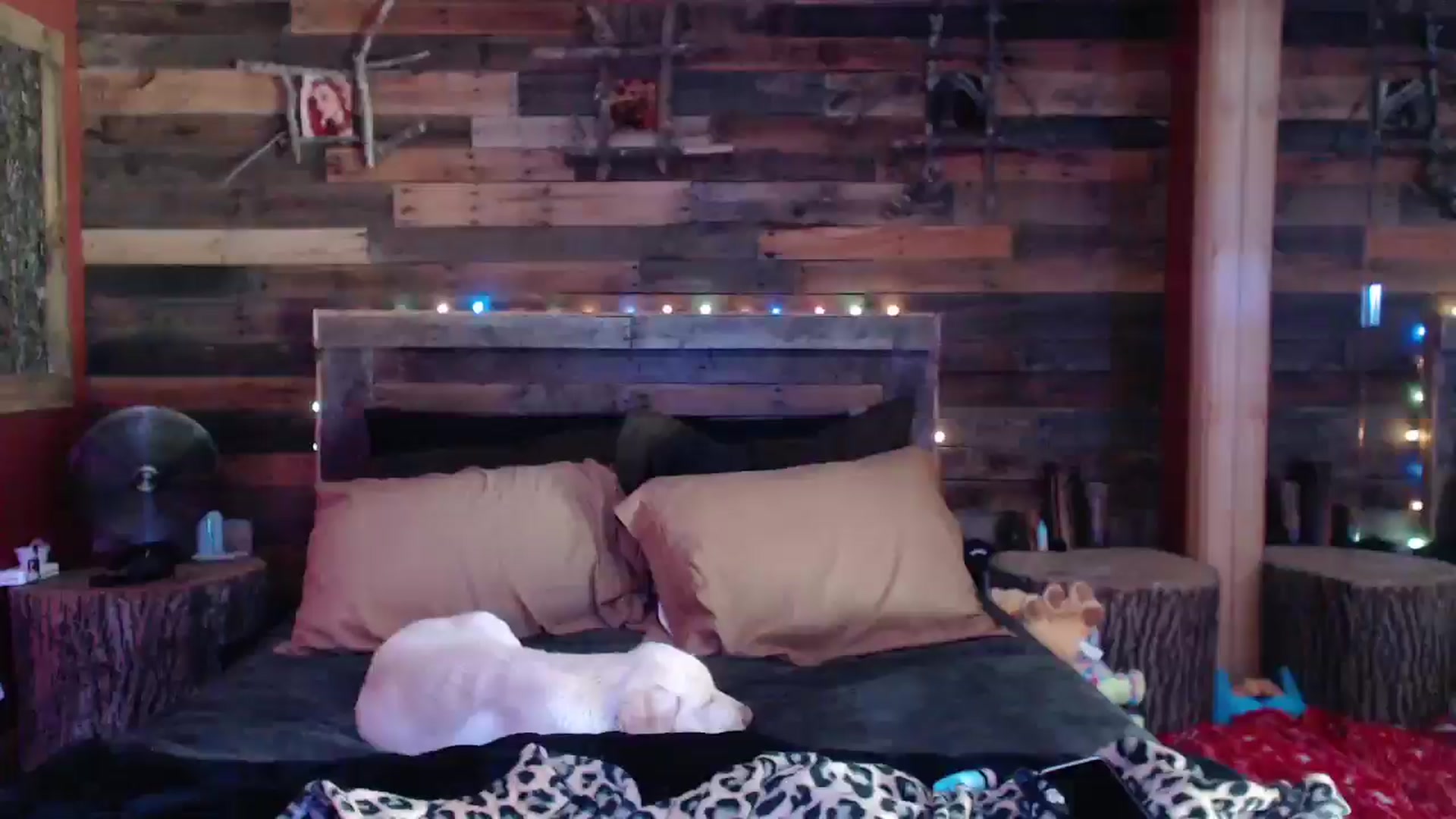 Gallery image thumbnail from TrueHalo's myfreecams stream on, 05/29/2025, 18:34 image 19 of 20