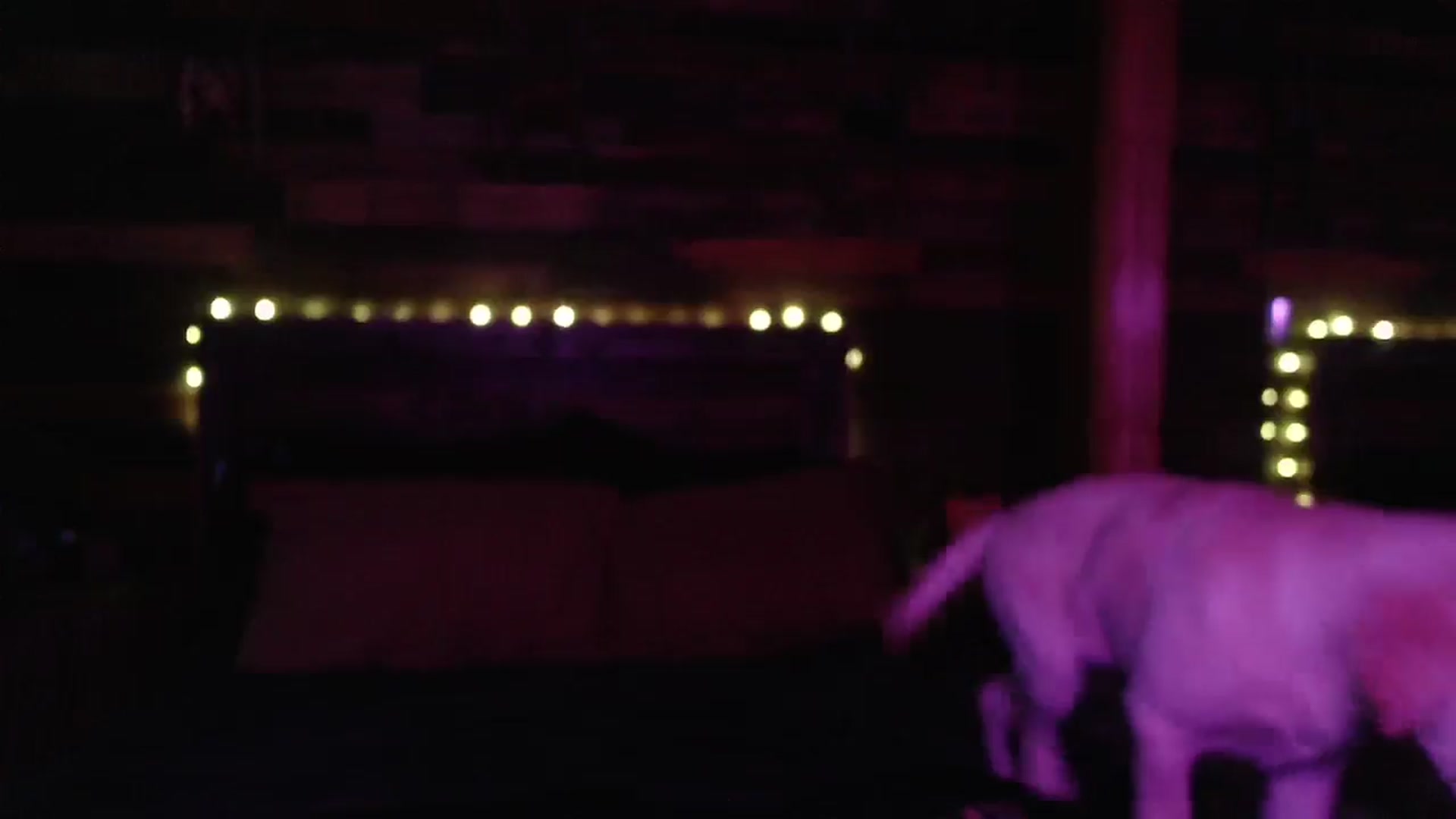 Gallery image thumbnail from TrueHalo's myfreecams stream on, 06/13/2025, 19:20 image 7 of 20