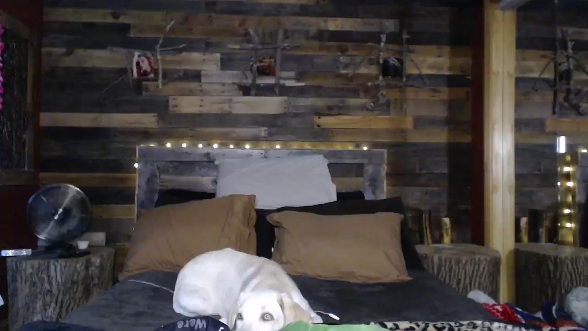 Gallery image thumbnail from TrueHalo's myfreecams stream on, 07/23/2025, 18:33 image 8 of 20