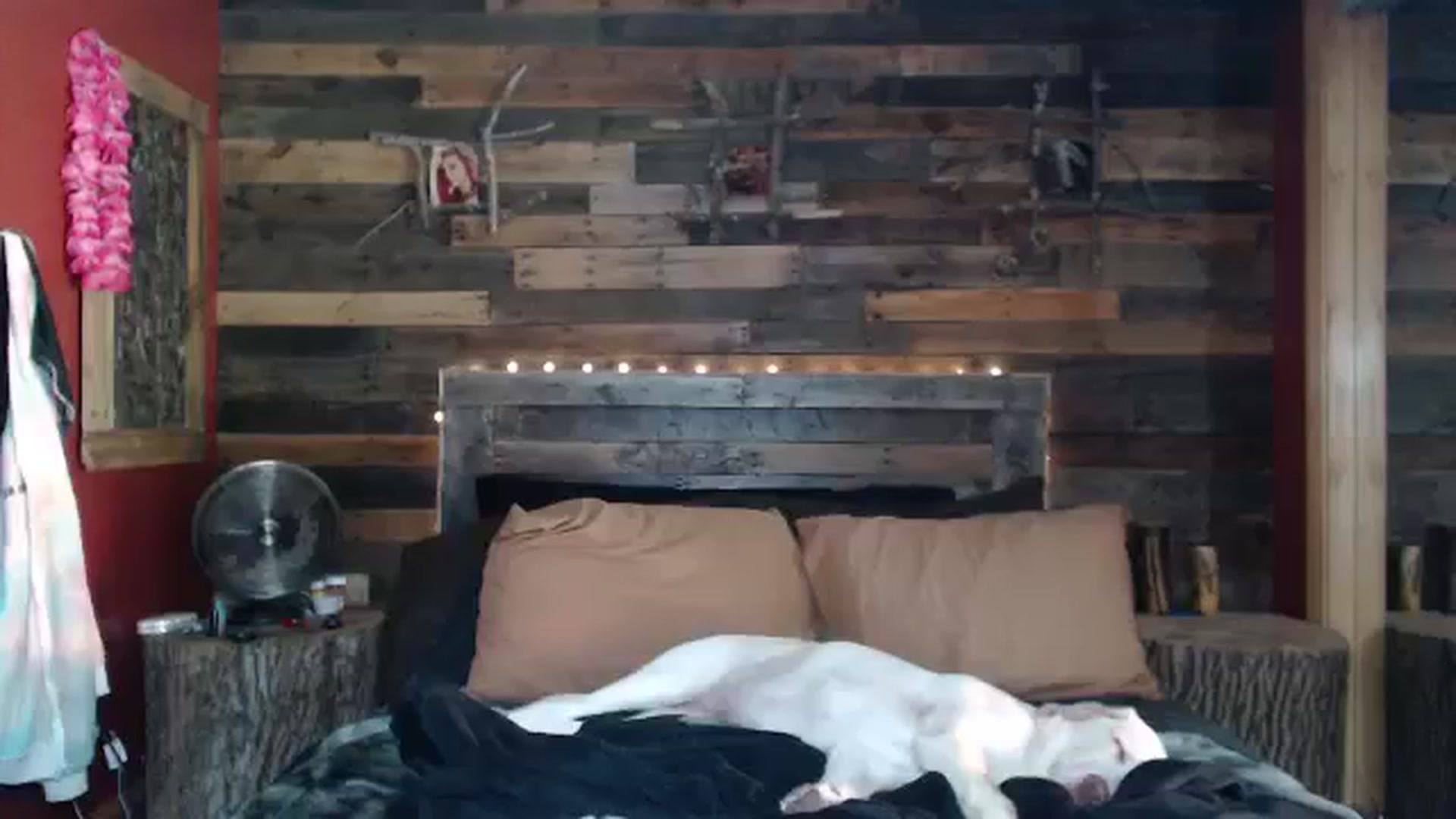 Gallery image thumbnail from TrueHalo's myfreecams stream on, 08/07/2025, 16:06 image 18 of 20