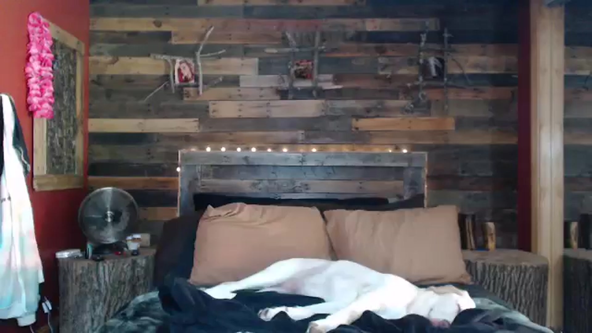 Gallery image thumbnail from TrueHalo's myfreecams stream on, 08/07/2025, 16:06 image 20 of 20