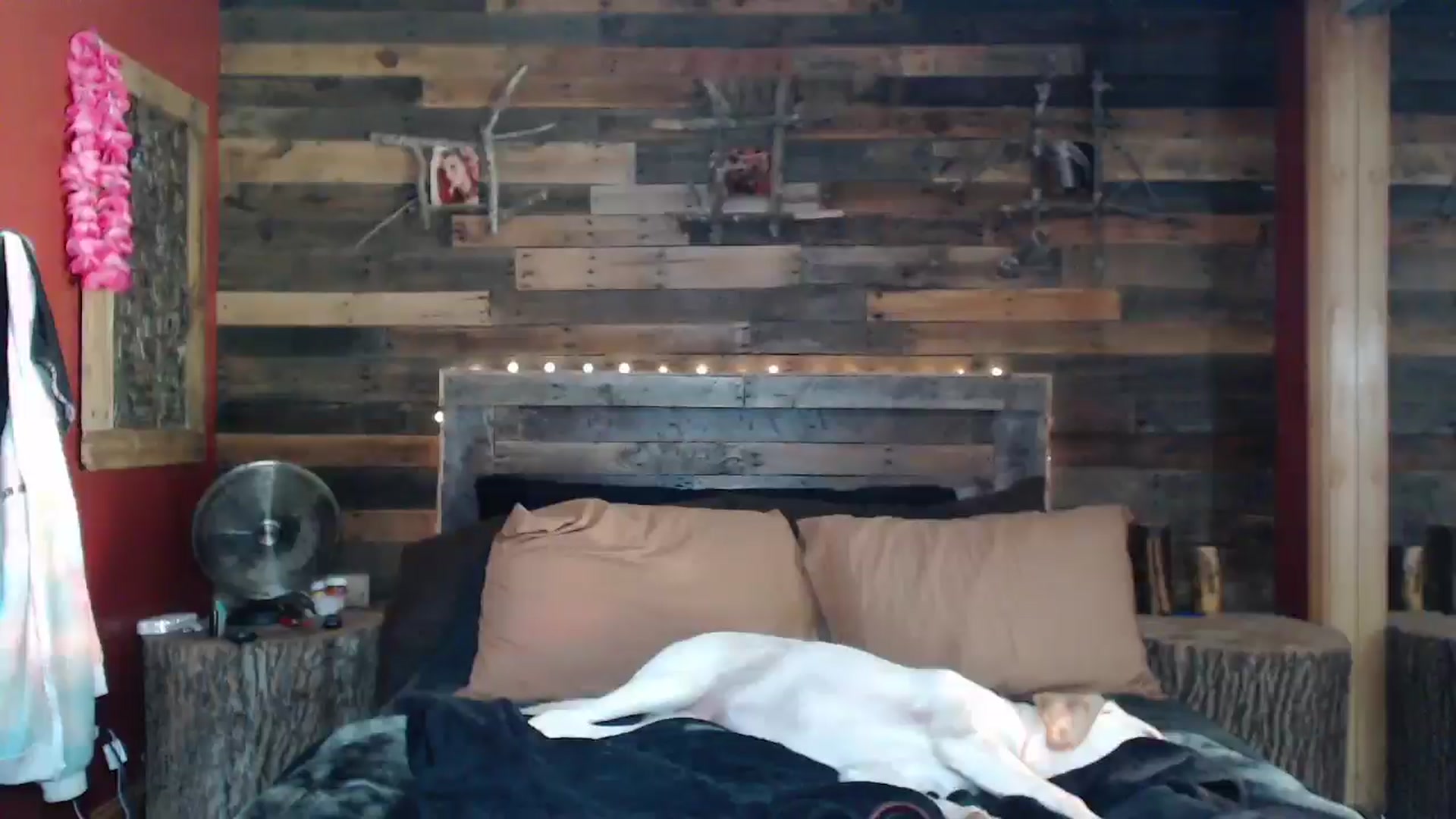 Gallery image thumbnail from TrueHalo's myfreecams stream on, 08/07/2025, 16:06 image 10 of 20