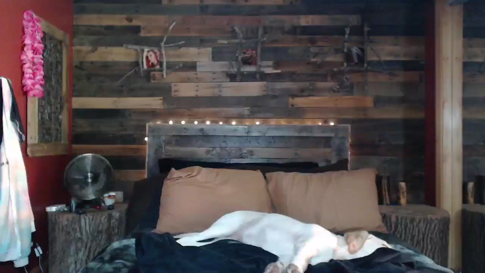 Gallery image thumbnail from TrueHalo's myfreecams stream on, 08/07/2025, 16:06 image 11 of 20