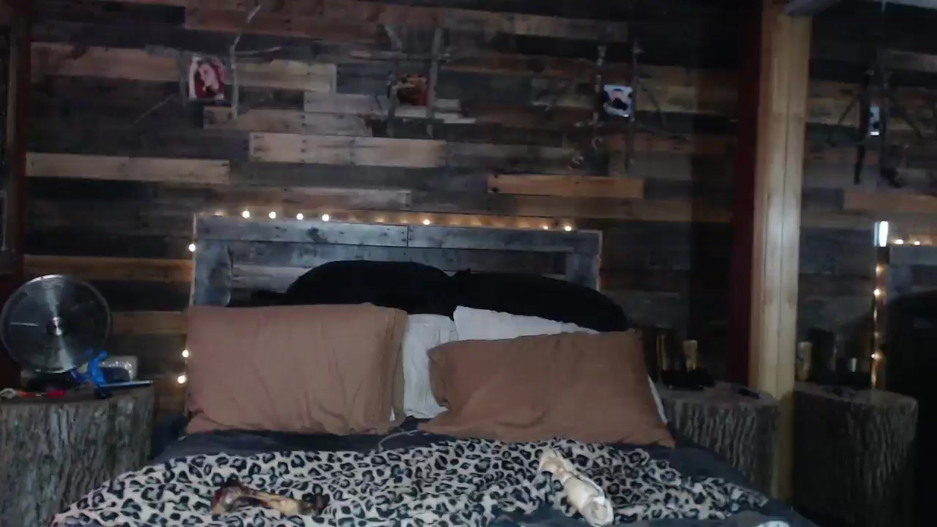 Gallery image thumbnail from TrueHalo's myfreecams stream on, 09/24/2025, 15:24 image 14 of 20