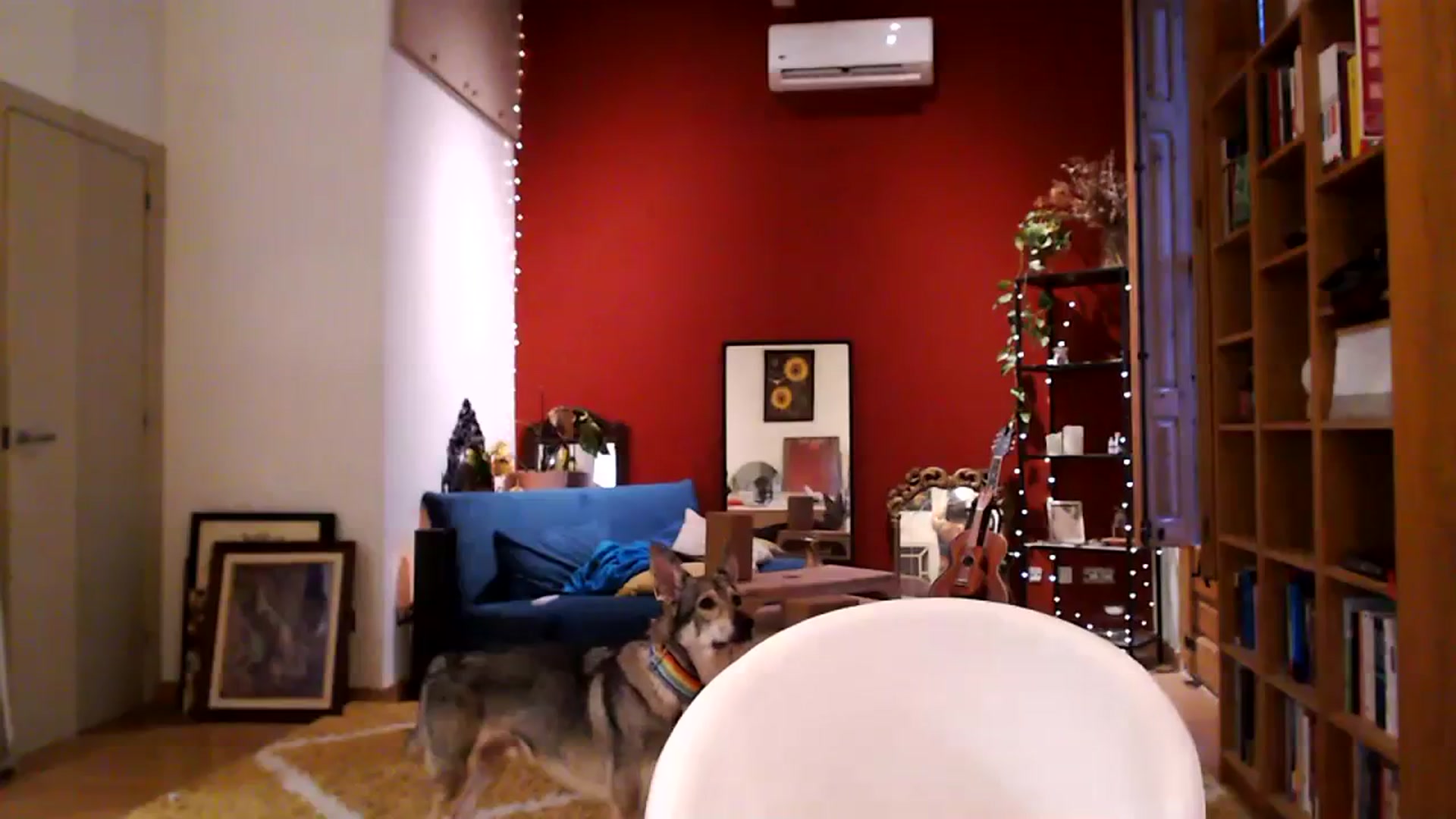 Gallery image thumbnail from TulaLulaVida's myfreecams stream on, 03/30/2024, 18:22 image 3 of 20