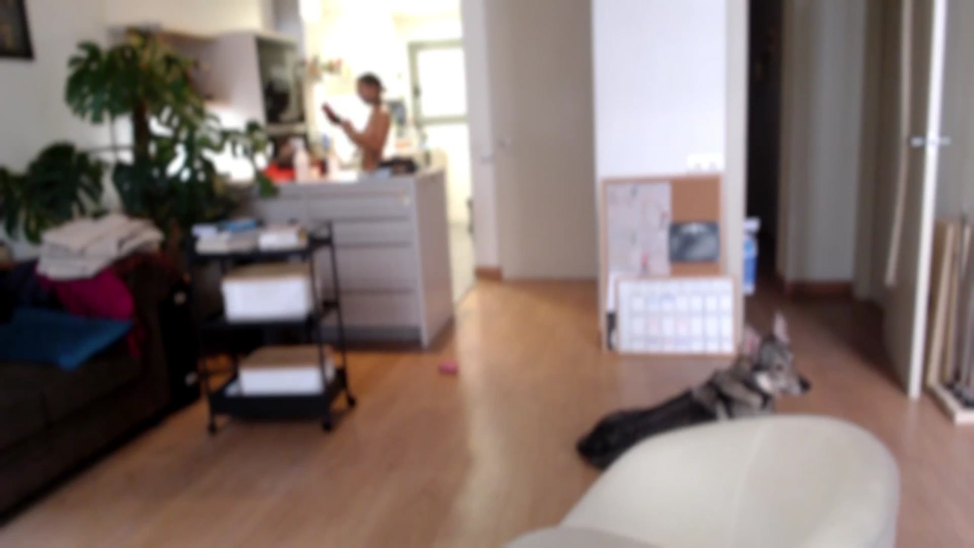 Gallery image thumbnail from TulaLulaVida's myfreecams stream on, 08/19/2025, 15:11 image 16 of 20