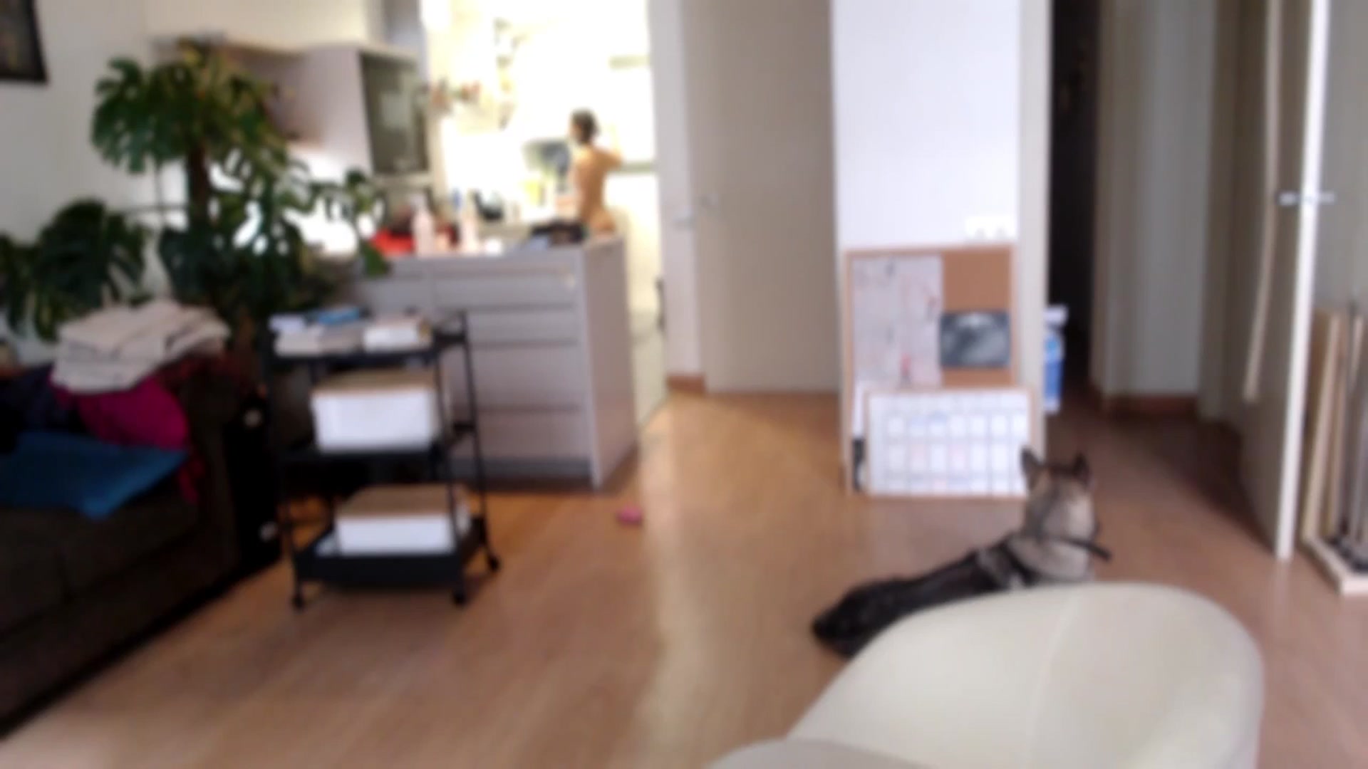 Gallery image thumbnail from TulaLulaVida's myfreecams stream on, 08/19/2025, 15:11 image 18 of 20