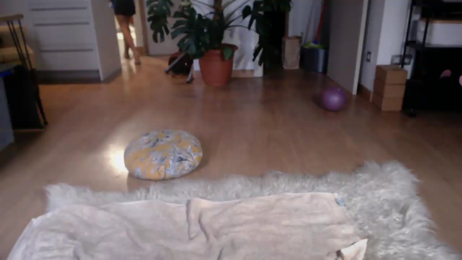 Gallery image thumbnail from TulaLulaVida's myfreecams stream on, 07/28/2026, 18:10 image 2 of 20
