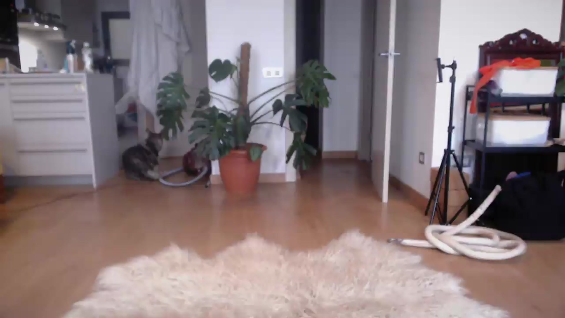 Gallery image thumbnail from TulaLulaVida's myfreecams stream on, 08/04/2026, 13:54 image 3 of 20