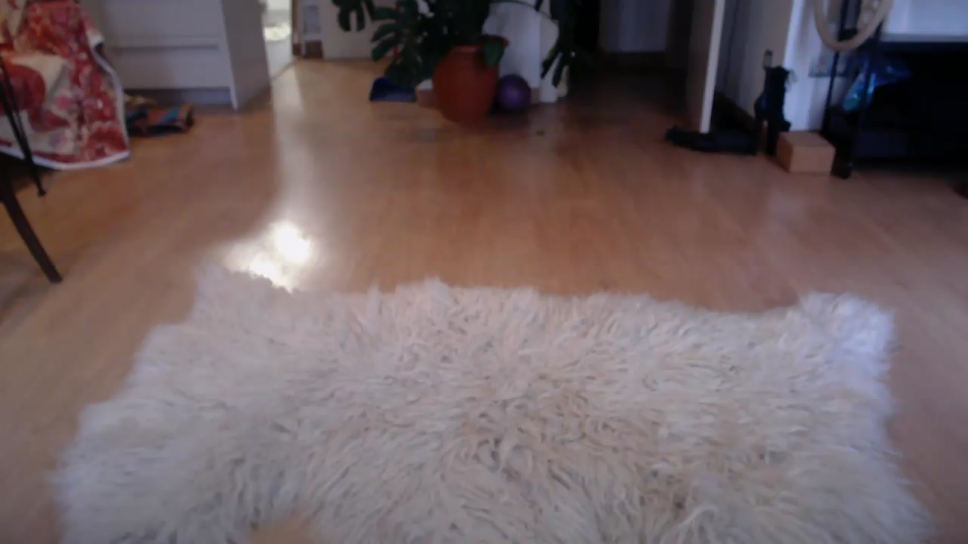Gallery image thumbnail from TulaLulaVida's myfreecams stream on, 09/08/2026, 15:12 image 17 of 20