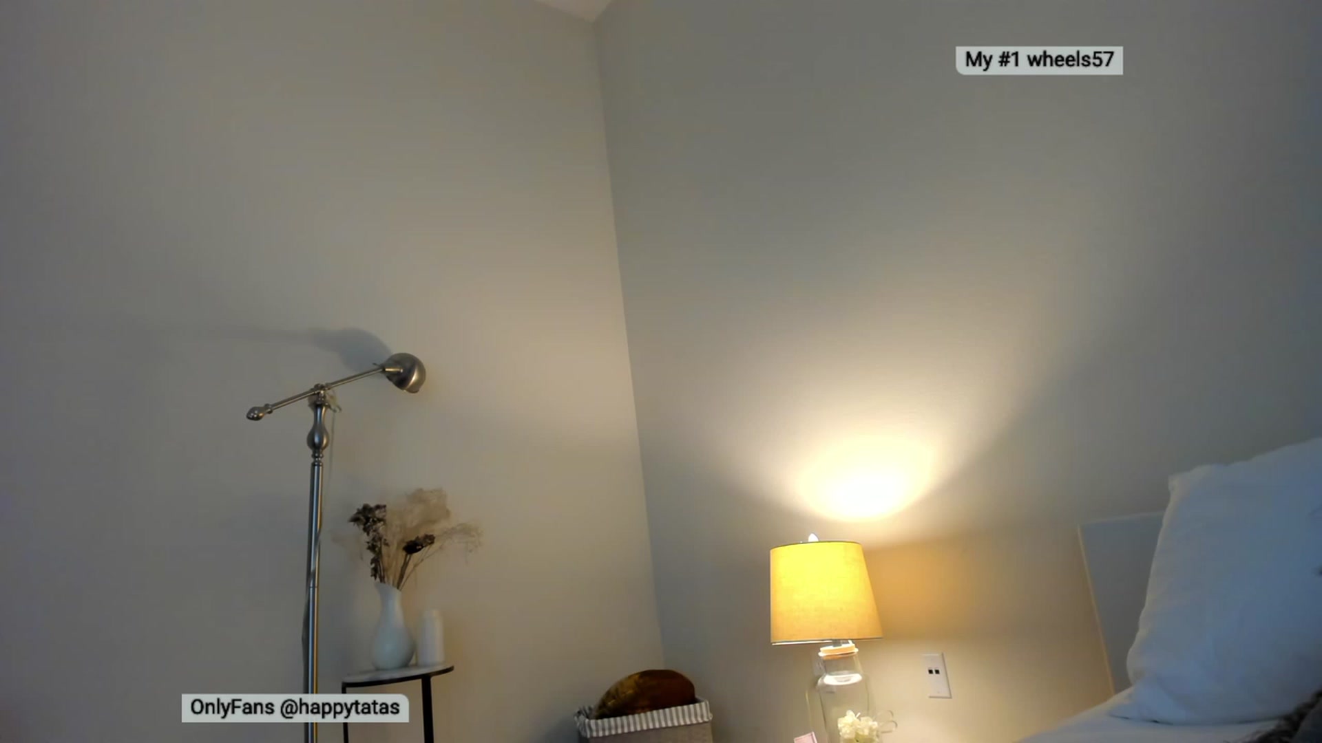 Gallery image thumbnail from TyleyCriss's myfreecams stream on, 11/15/2022, 05:27 image 16 of 20