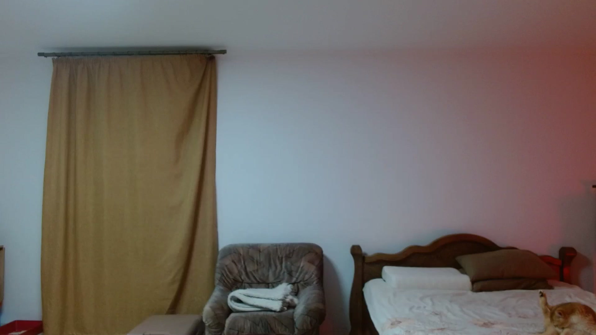 Gallery image thumbnail from UGLYBIRTHDAY_'s myfreecams stream on, 03/05/2024, 17:49 image 9 of 20
