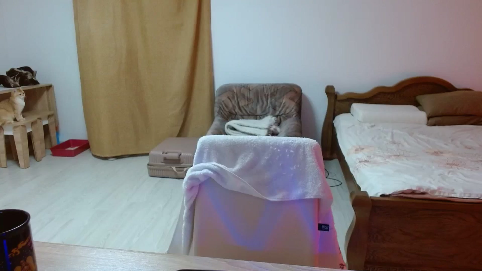 Gallery image thumbnail from UGLYBIRTHDAY_'s myfreecams stream on, 03/05/2024, 17:49 image 16 of 20