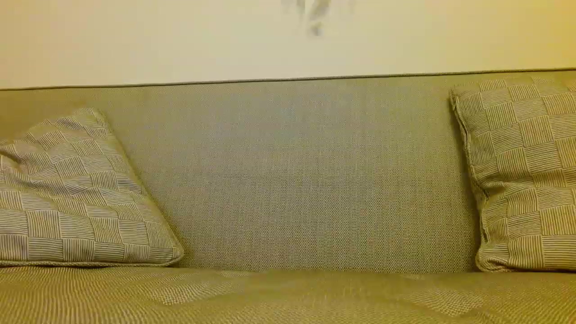 Gallery image thumbnail from UGLYGIRL_'s myfreecams stream on, 12/10/2022, 24:14 image 14 of 20