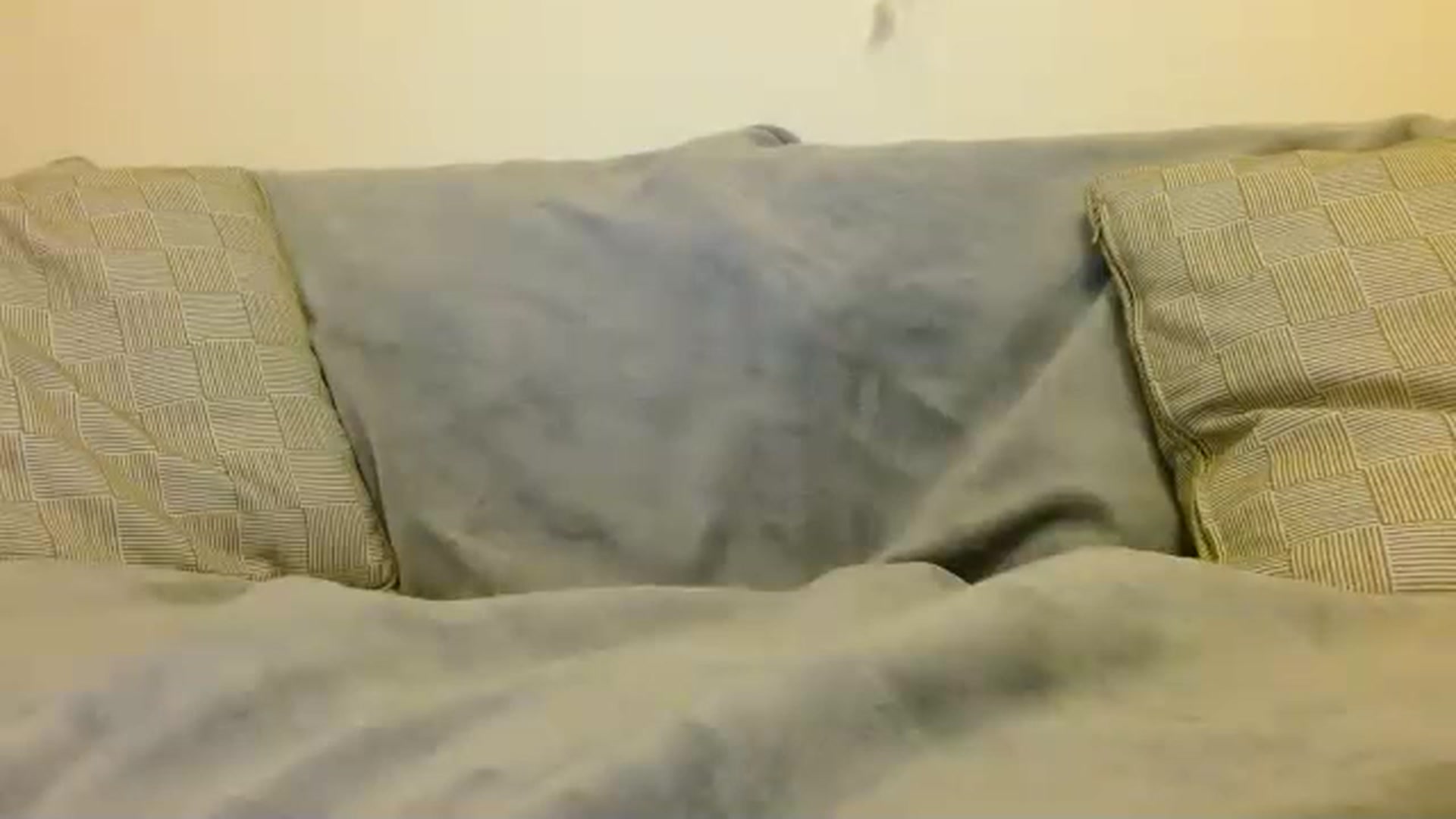 Gallery image thumbnail from UGLYGIRL_'s myfreecams stream on, 12/10/2022, 01:41 image 9 of 20
