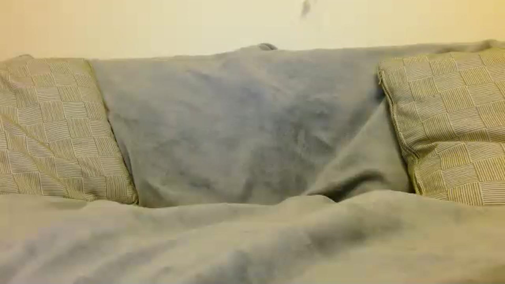 Gallery image thumbnail from UGLYGIRL_'s myfreecams stream on, 12/10/2022, 01:41 image 4 of 20