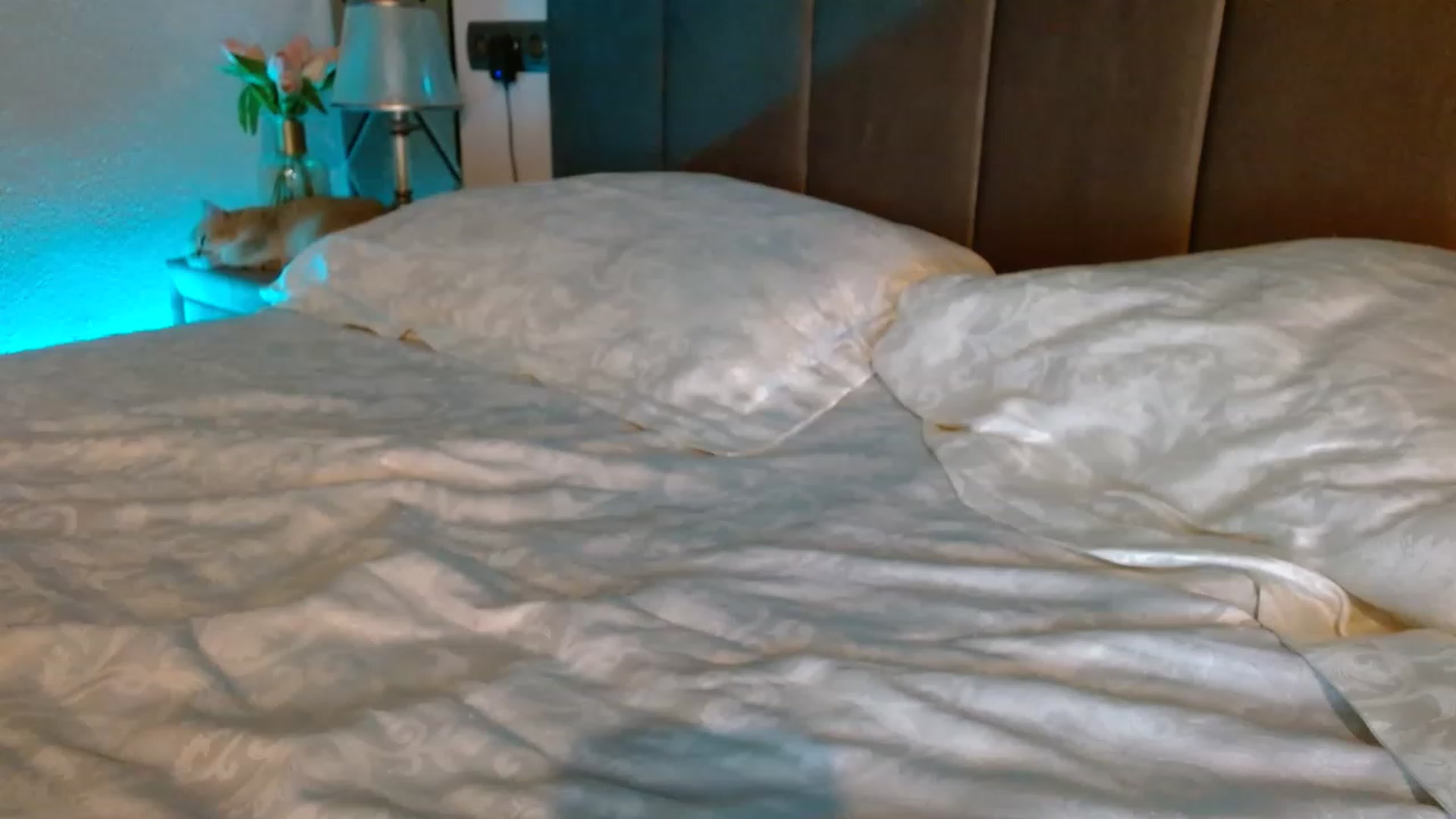 Gallery image thumbnail from UGLYGIRL_'s myfreecams stream on, 04/09/2023, 23:07 image 2 of 20