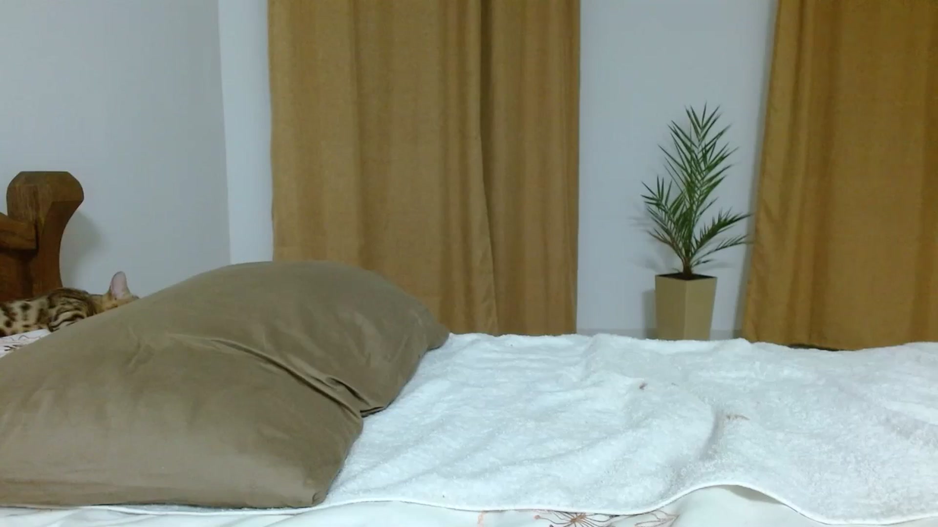 Gallery image thumbnail from UGLYGIRL_'s myfreecams stream on, 09/19/2023, 07:40 image 10 of 20