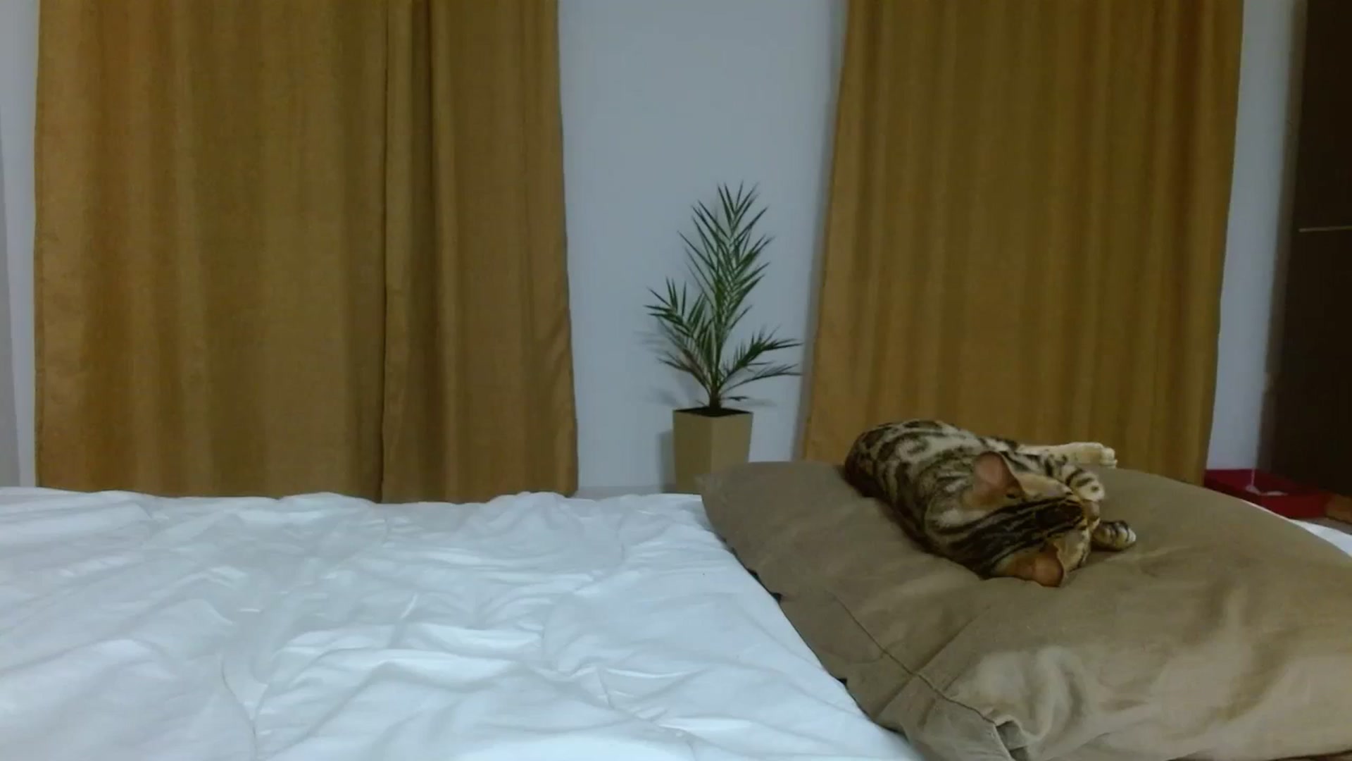 Gallery image thumbnail from UGLYGIRL_'s myfreecams stream on, 09/30/2023, 19:36 image 7 of 20