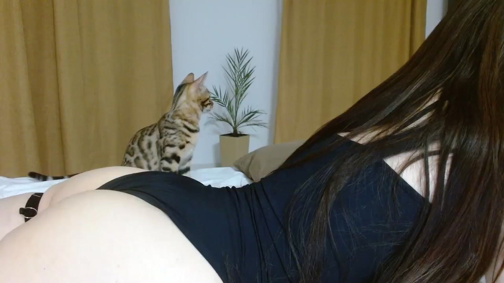 Gallery image thumbnail from UGLYGIRL_'s myfreecams stream on, 10/07/2023, 18:49 image 17 of 20