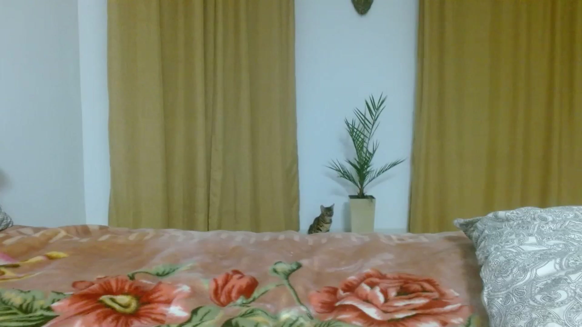 Gallery image thumbnail from UGLYGIRL_'s myfreecams stream on, 11/02/2023, 04:47 image 15 of 20
