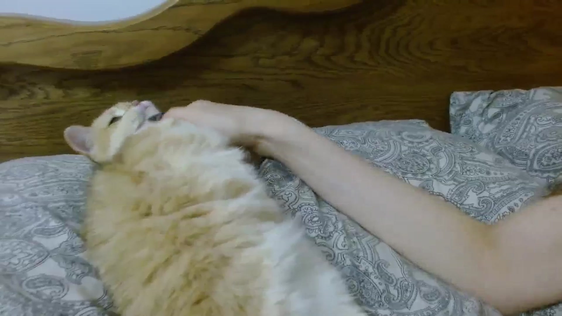 Gallery image thumbnail from UGLYGIRL_'s myfreecams stream on, 11/16/2023, 17:02 image 10 of 20