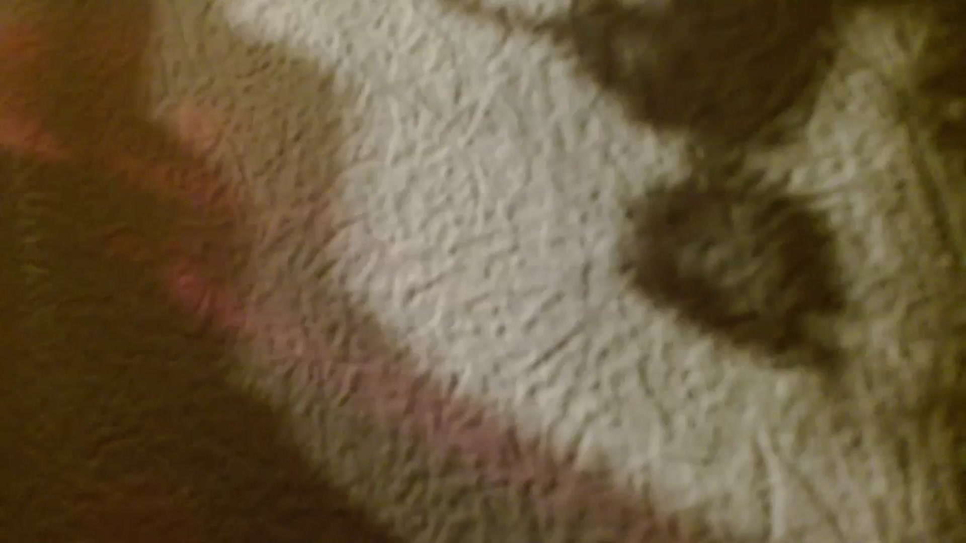Gallery image thumbnail from UGLYGIRL_'s myfreecams stream on, 12/02/2023, 17:19 image 9 of 20