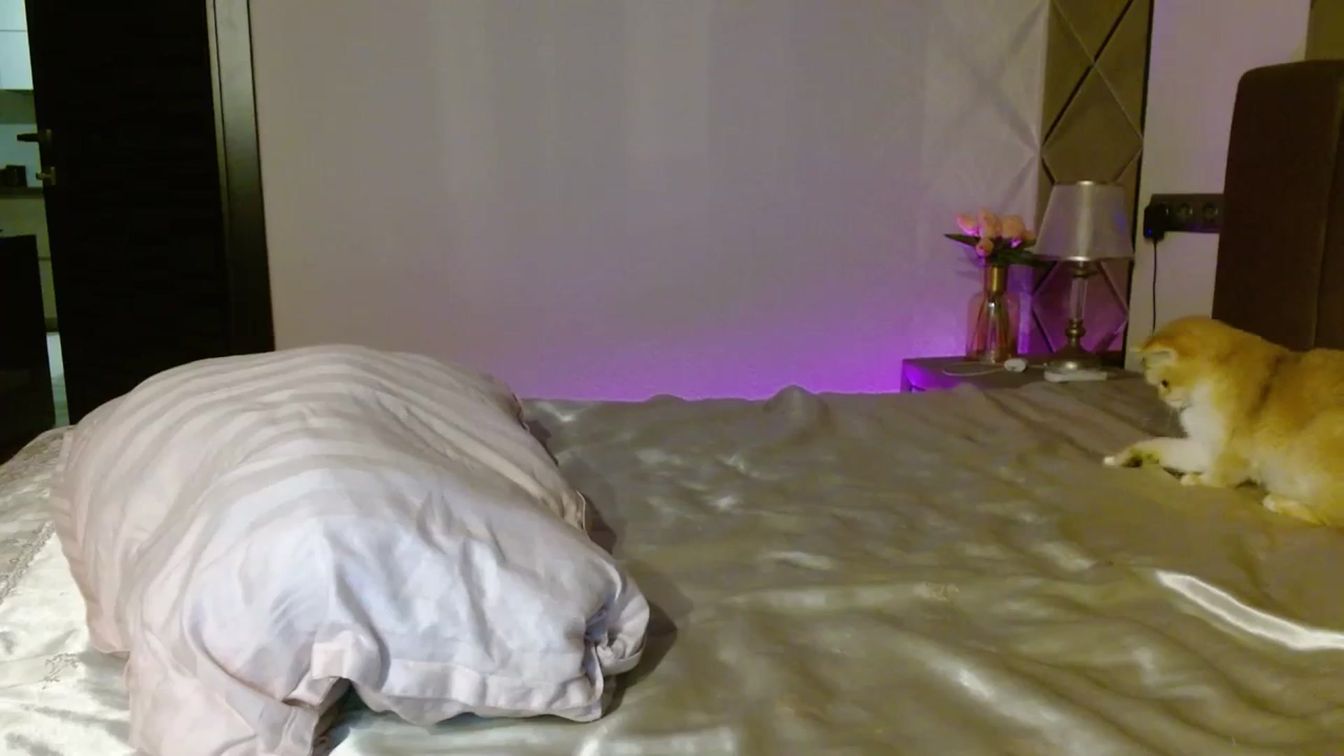 Gallery image thumbnail from UGLYGIRL_'s myfreecams stream on, 12/04/2023, 03:36 image 17 of 20