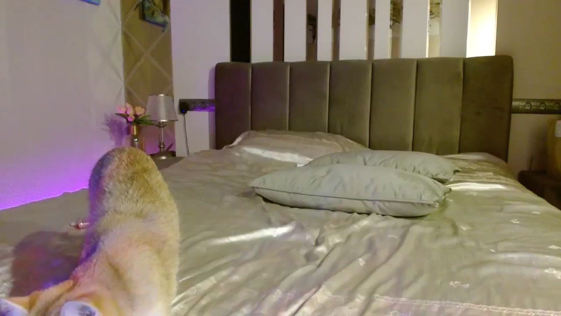 Gallery image thumbnail from UGLYGIRL_'s myfreecams stream on, 12/08/2023, 02:41 image 19 of 20