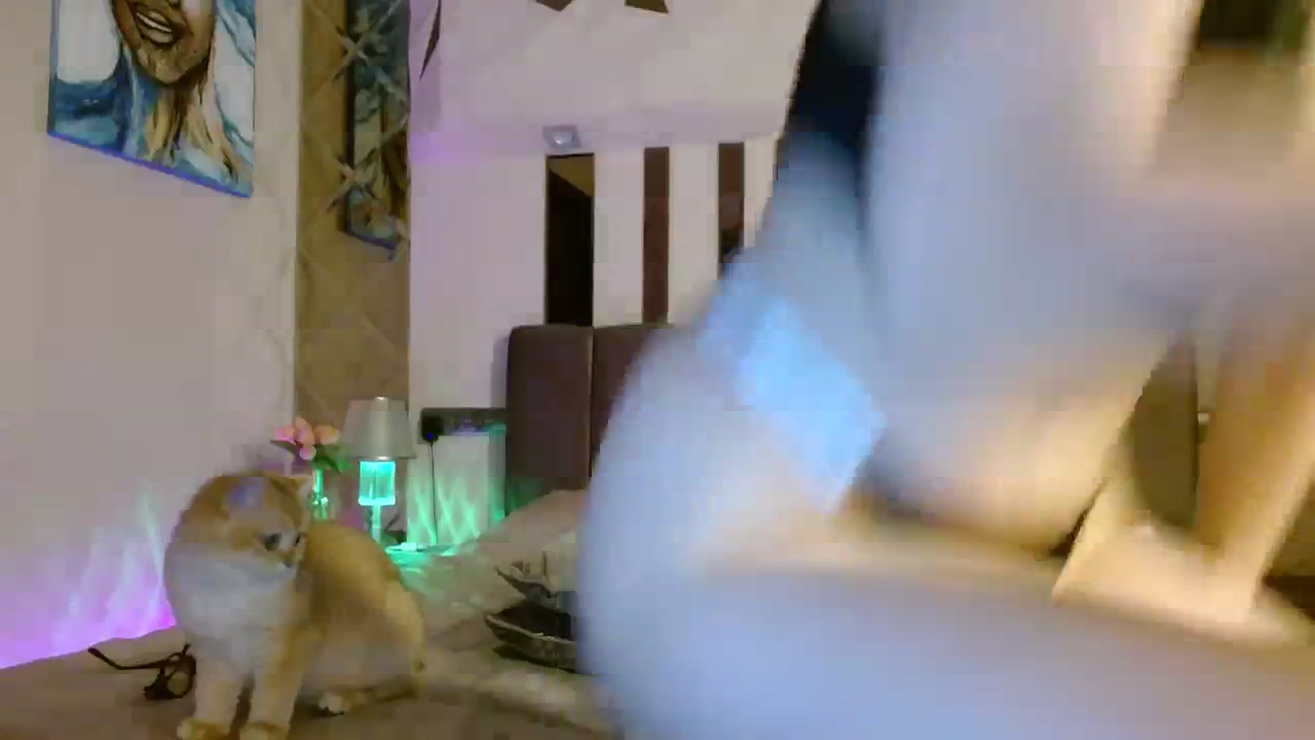 Gallery image thumbnail from UGLYGIRL_'s myfreecams stream on, 12/16/2023, 21:44 image 4 of 20