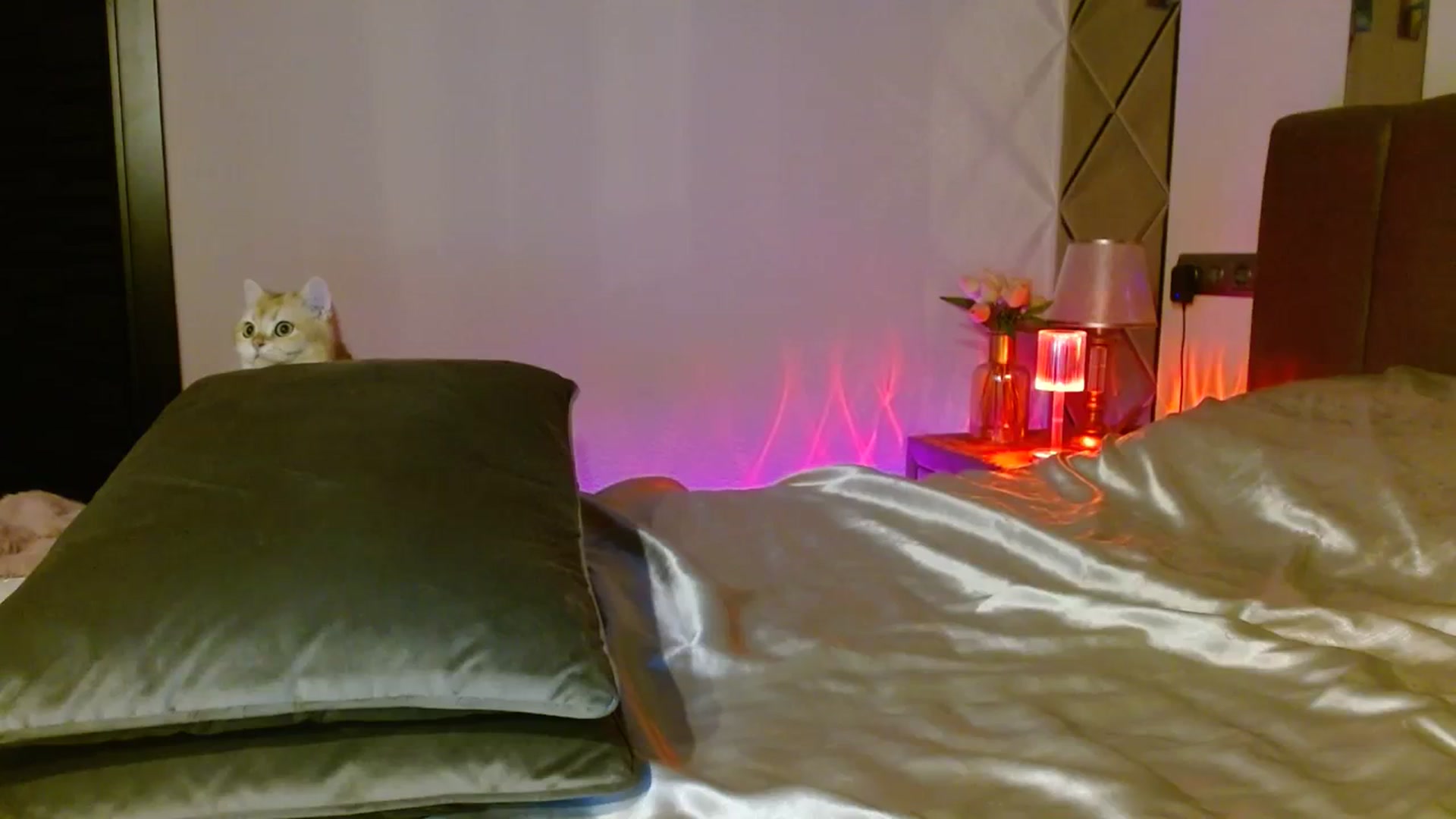 Gallery image thumbnail from UGLYGIRL_'s myfreecams stream on, 12/21/2023, 23:29 image 9 of 20