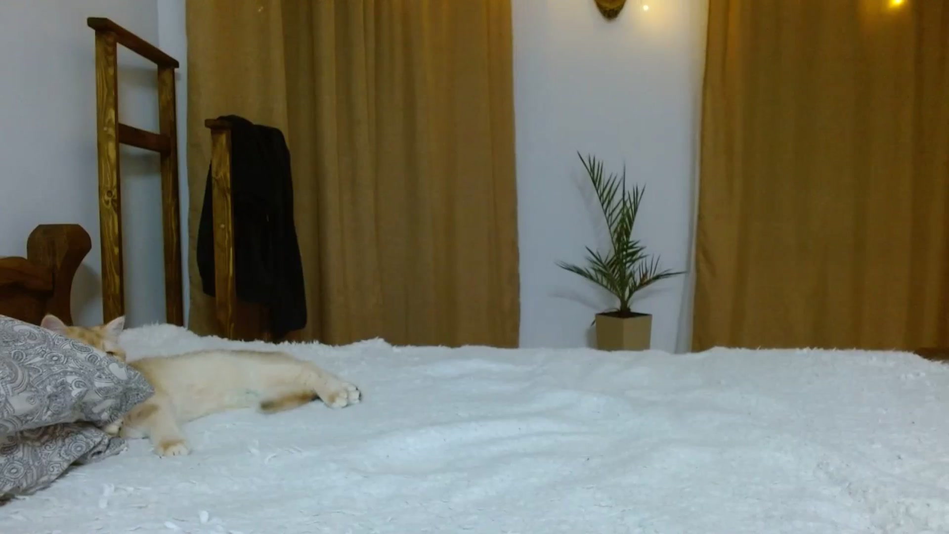 Gallery image thumbnail from UGLYGIRL_'s myfreecams stream on, 12/25/2023, 23:10 image 3 of 20