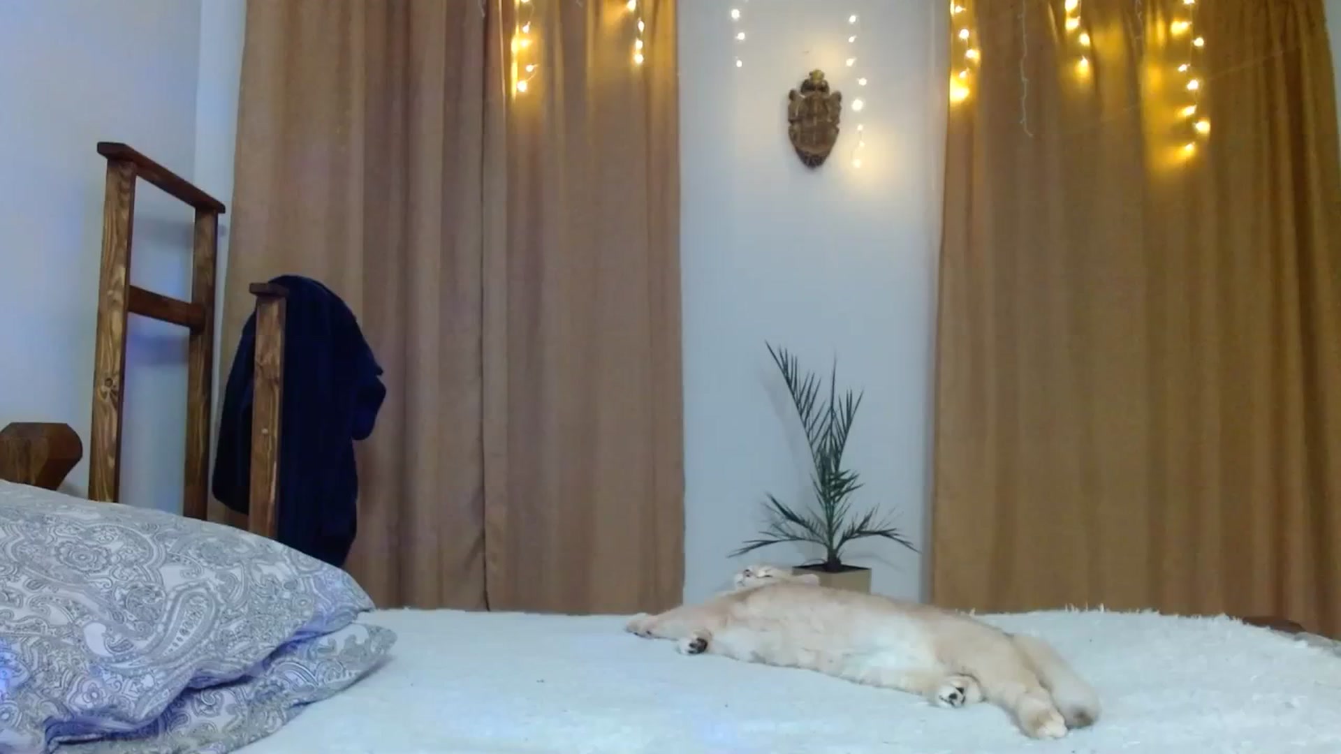 Gallery image thumbnail from UGLYGIRL_'s myfreecams stream on, 01/10/2024, 04:27 image 1 of 20